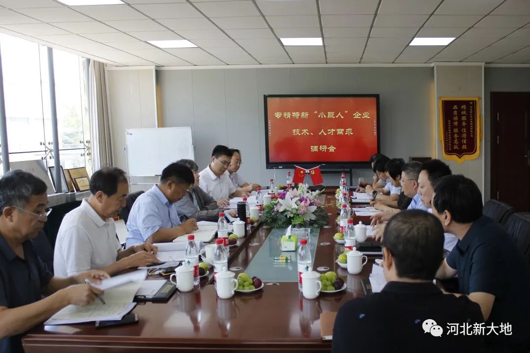 專精特新“小巨人”企業(yè)技術(shù)、人才需求調(diào)研組到河北新大地調(diào)研